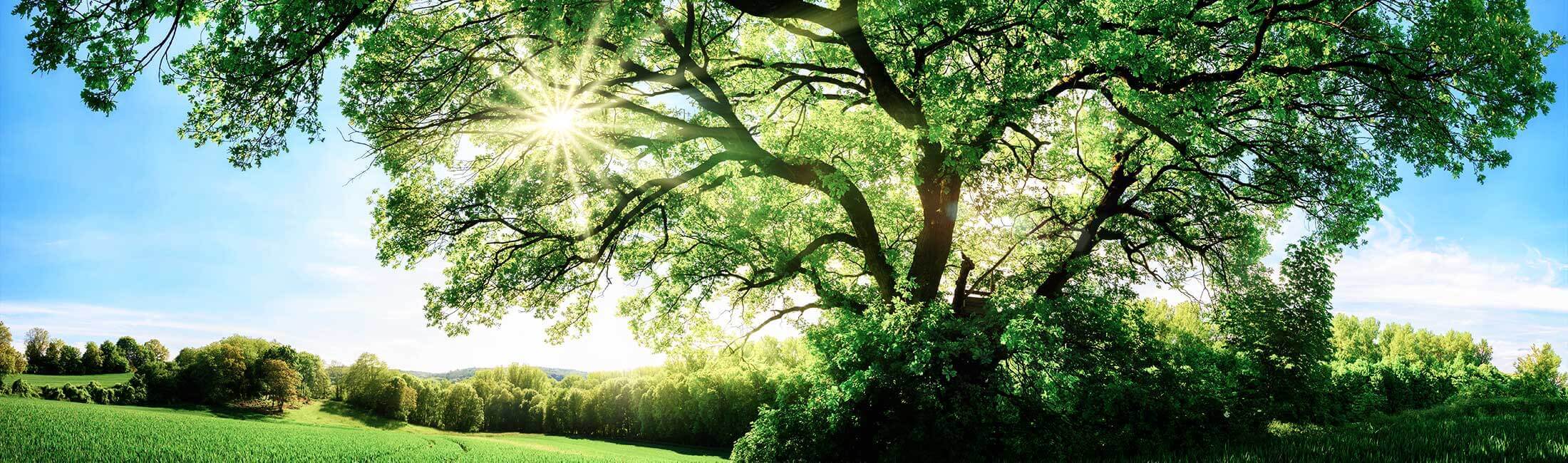 Environmental protection
